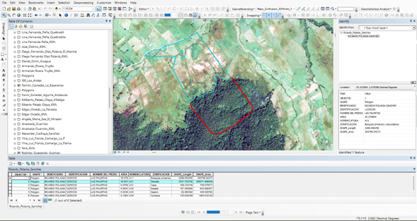 Curso Online De Arcgis